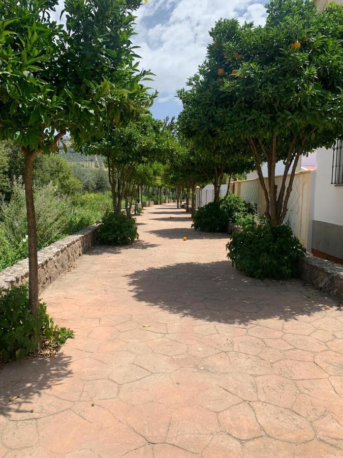 Apartamento En Cuevas Del Becerro מראה חיצוני תמונה
